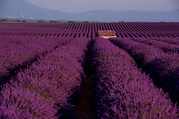 Image showing stone house at lavender field