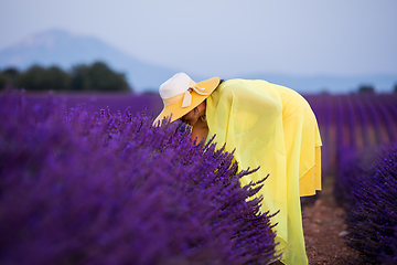 Image showing asian woman in yellow dress and hat at lavender field