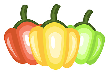 Image showing Three Capsicums vector color illustration.