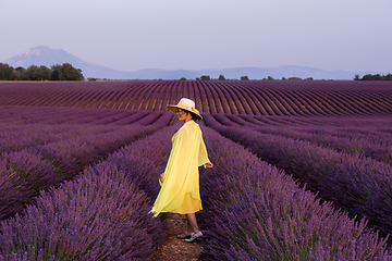 Image showing asian woman in yellow dress and hat at lavender field