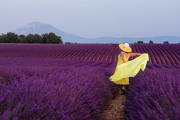 Image showing asian woman in yellow dress and hat at lavender field