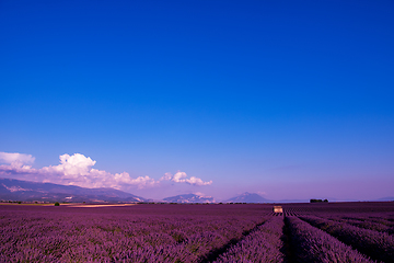 Image showing stone house at lavender field