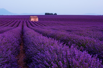 Image showing stone house at lavender field