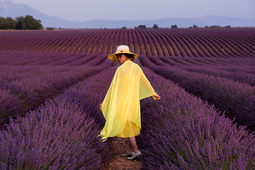 Image showing asian woman in yellow dress and hat at lavender field