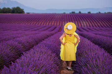 Image showing asian woman in yellow dress and hat at lavender field