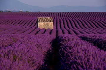 Image showing stone house at lavender field