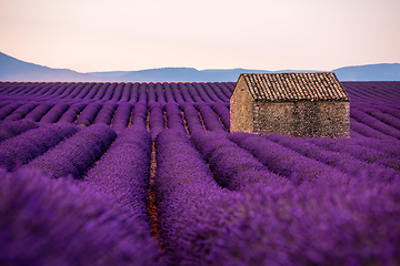 Image showing stone house at lavender field