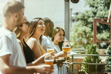 Image showing Young group of friends drinking beer and celebrating together