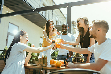 Image showing Young group of friends drinking beer and celebrating together