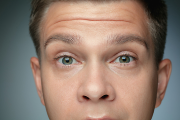 Image showing Close-up portrait of young man isolated on grey studio background