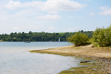 Image showing Water\'s edge of Bewl Water reservoir in Tunbridge Wells, Kent