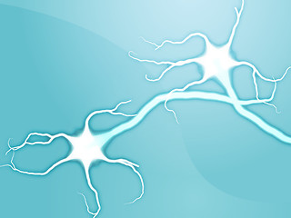 Image showing Neuron nerve cells