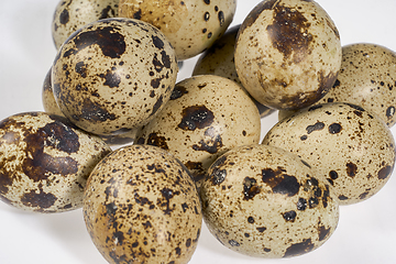 Image showing some quail eggs