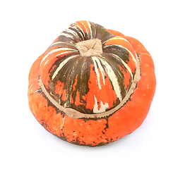 Image showing Large Turks Turban gourd with dark brown and orange stripes