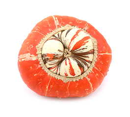 Image showing Unusual Turks Turban squash with raised white centre and stripes