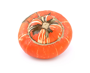 Image showing Bright orange Turks Turban heirloom gourd with striped, raised c