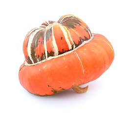 Image showing Profile of Turks Turban gourd, with a smooth orange cap