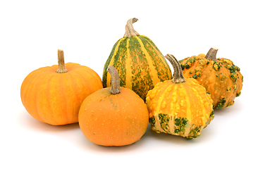 Image showing Five orange decorative gourds, with smooth and warted shapes