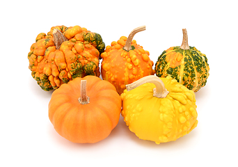 Image showing Five ornamental gourds, orange, green and yellow
