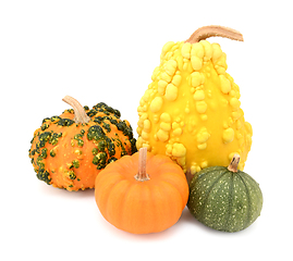 Image showing Group of five ornamental gourds - orange, yellow and green