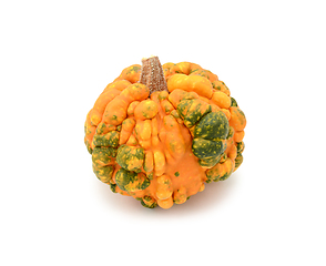 Image showing Deep orange gourd with green patches and warty skin