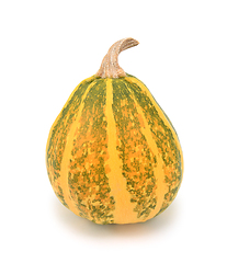 Image showing Ripening green and yellow ornamental gourd, turning orange