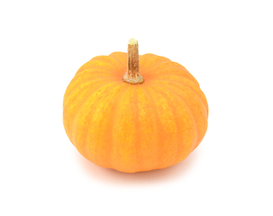 Image showing Round, orange Jack Be Little mini pumpkin