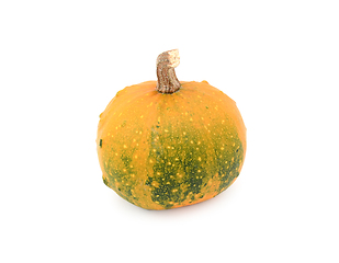 Image showing Ornamental gourd ripening from dark green to orange