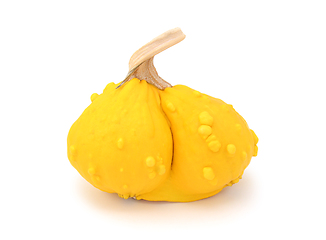 Image showing Yellow warted gourd with two conjoined halves 