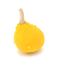 Image showing Teardrop-shaped decorative ornamental gourd with yellow skin