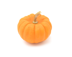 Image showing Small Jack Be Little pumpkin with smooth orange skin