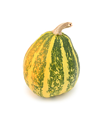 Image showing Half-ripe ornamental gourd with yellow and green stripes
