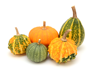 Image showing Group of decorative gourds with orange and green markings