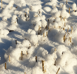 Image showing Snow covered field