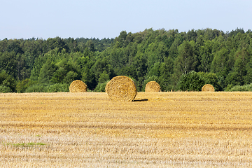 Image showing harvested field