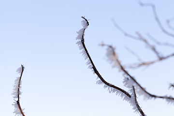 Image showing After snowfall