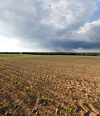 Image showing Spring landscape