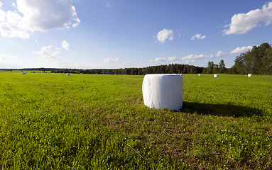 Image showing Hay bales in plastic