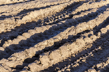 Image showing Autumn dirt on the road