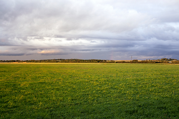 Image showing summer landscape