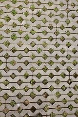 Image showing Tile for a hill, close-up