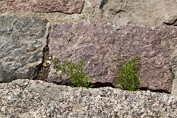 Image showing The old steps