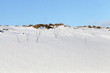 Image showing Snow in winter