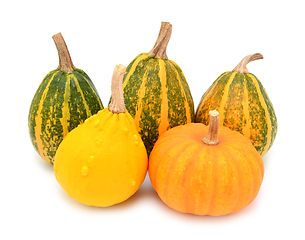 Image showing Five autumnal ornamental gourds, squashes and a mini pumpkin