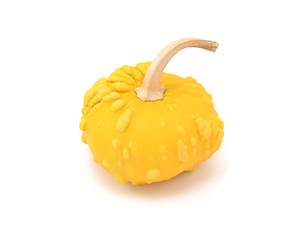 Image showing Warted yellow ornamental gourd with long, curved stalk