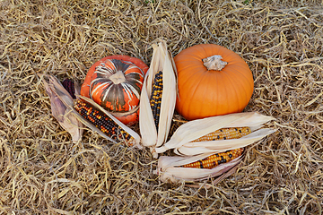 Image showing Ornamental corn cobs with fall gourds 