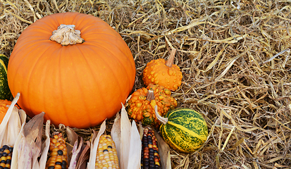 Image showing Orange pumpkin with ornamental corn and warted gourds 