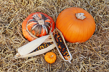 Image showing Autumnal Turks turban gourd and pumpkin with ornamental corn cob