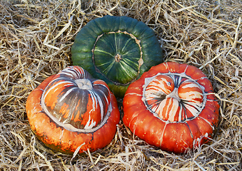 Image showing Two striped orange Turks Turban squashes and a green gourd