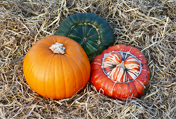 Image showing Orange pumpkin, striped Turks Turban and dark green gourd